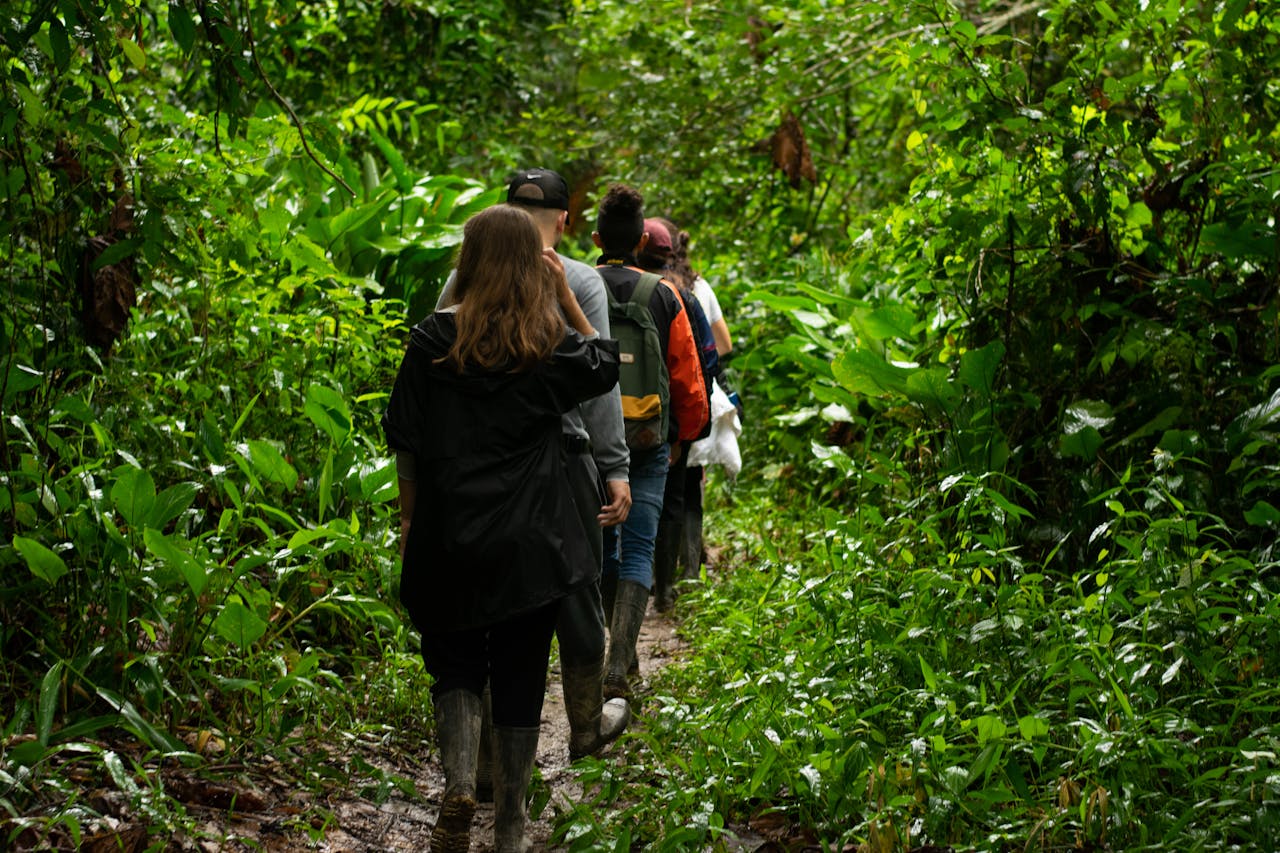 Amazon Rainforest