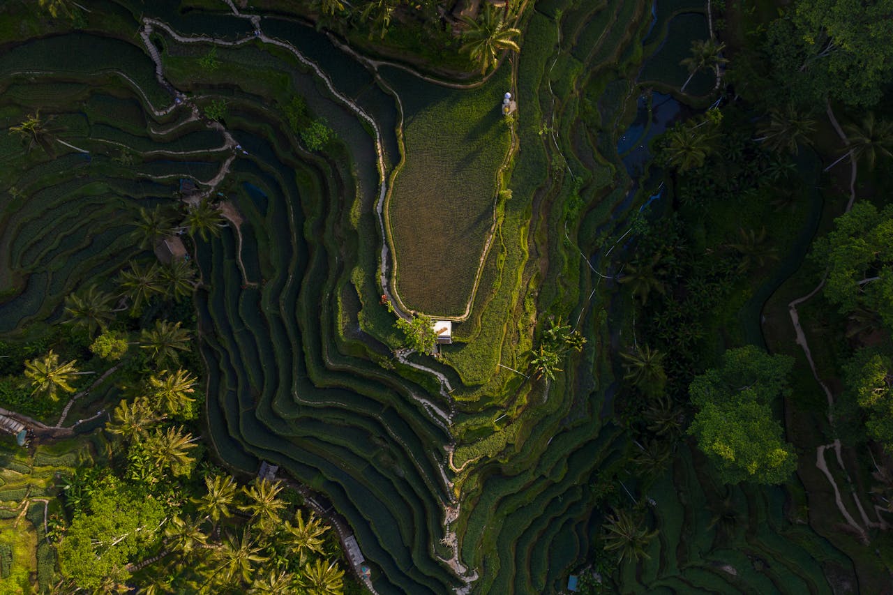 Bali Beach